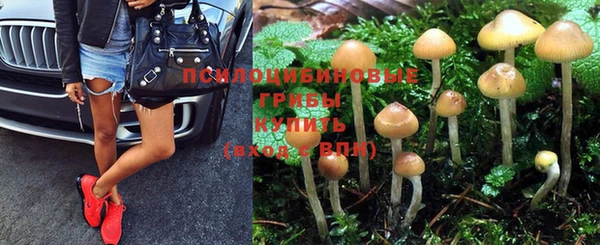 винт Алзамай