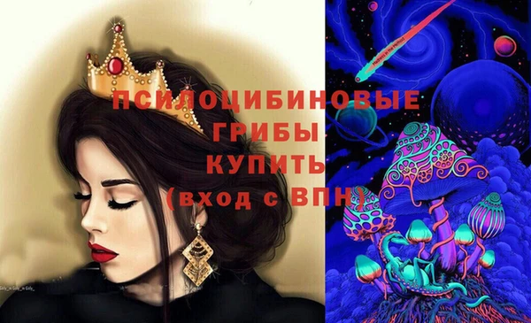 apvp Алексин